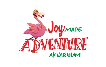 Joy Adventure